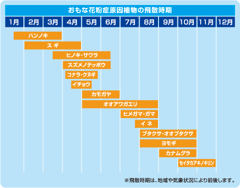 花粉症 本田眼科 さいたま市大宮区 大宮駅1分 コンタクトレンズ処方 日曜日